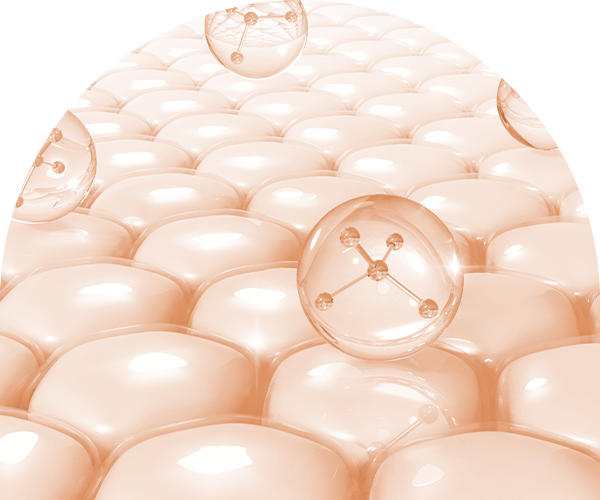 콜라겐스킨부스터 피부층사진