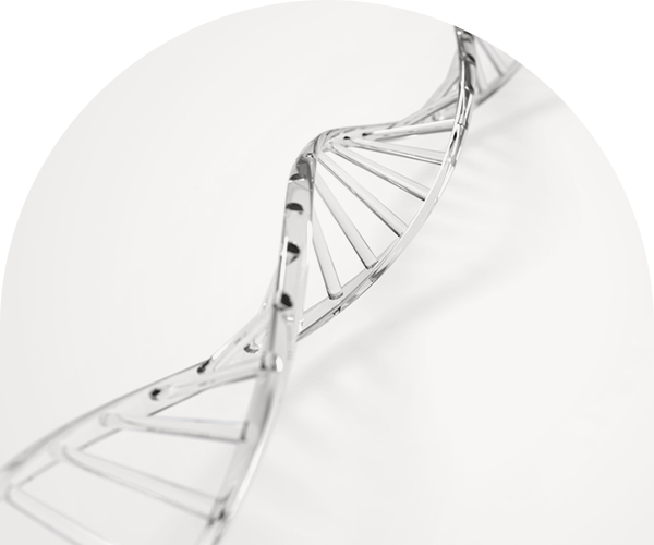줄기세포주사 세포사진